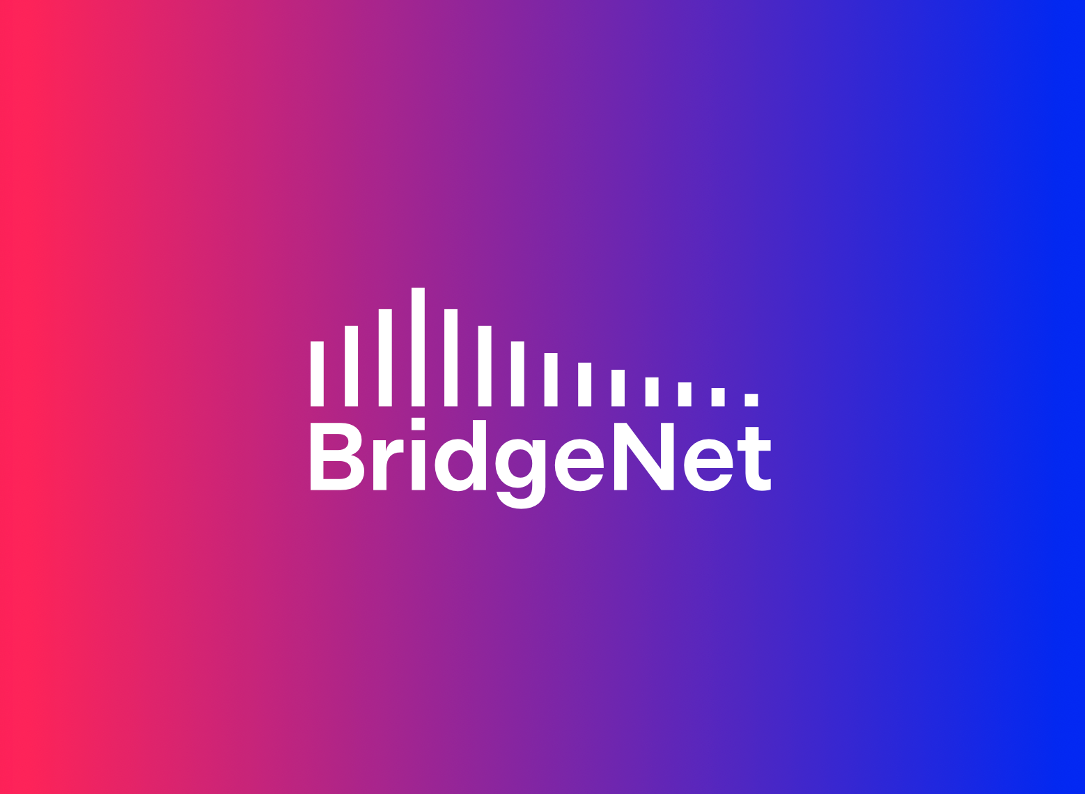 BridgeNet Logo